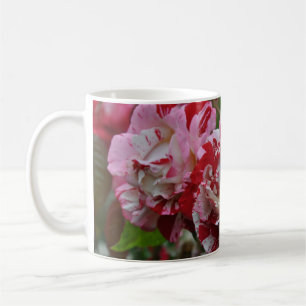 Taza De Café Hermosas rosas onduladas rojas y blancas