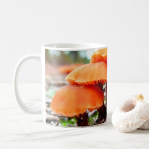 Taza De Café Hermosas setas silvestres en un campo otoñal