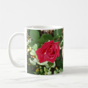Taza De Café Hermoso café de flores rojas