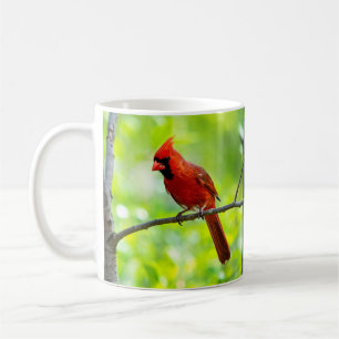 Taza De Café Hermoso cardenal rojo brillante en una rama
