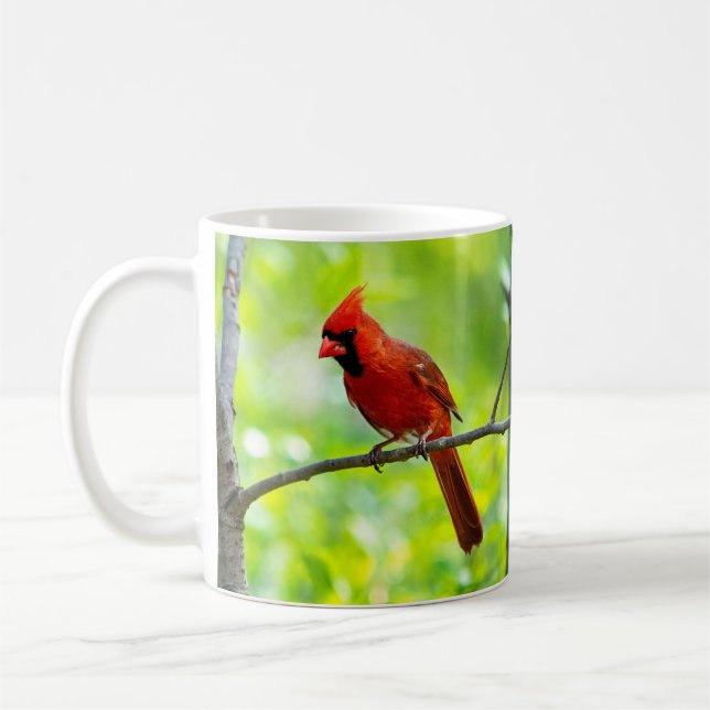 Taza De Café Hermoso cardenal rojo brillante en una rama (Izquierda)