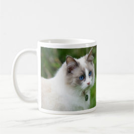Taza De Café Hermoso Gatito Ragdoll de Ojos Azules