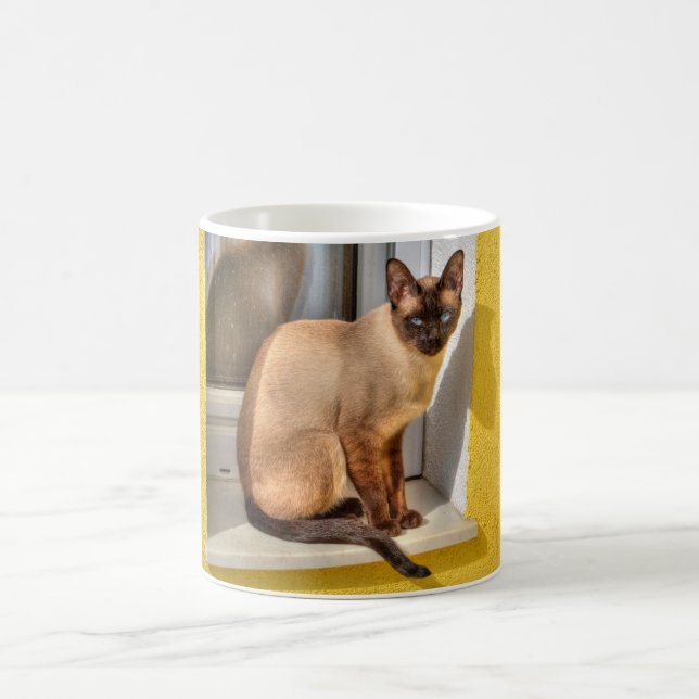 Taza De Café Hermoso gato siamés (Centro)