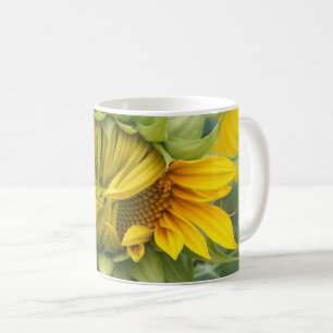 Taza De Café Hermoso girasol