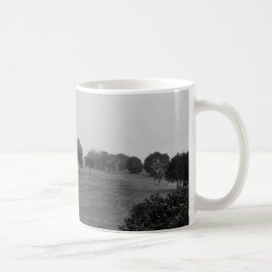 Taza De Café Hermosos árboles y naturaleza en la niebla