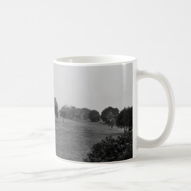 Taza De Café Hermosos árboles y naturaleza en la niebla (Derecha)