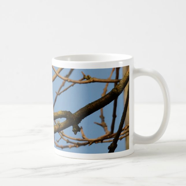 Taza De Café Herrerillo común (Derecha)