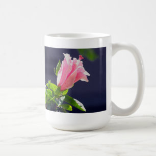 Taza De Café Hibisco bajo la luz brillante del sol