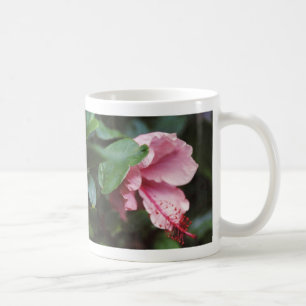 Taza De Café hibisco rosado
