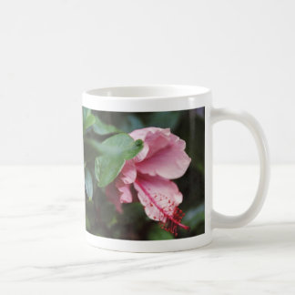 Taza De Café hibisco rosado