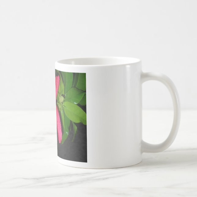 Taza De Café hibiscus a flores rojos (Derecha)