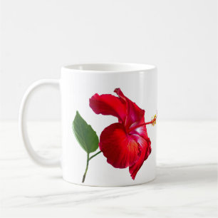 Taza De Café Hibiscus Blossom On White
