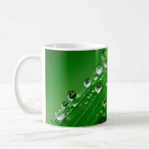 Taza De Café Hierba de la naturaleza del rocío de la hoja de ag