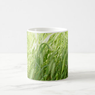 Taza De Café Hierba Sunlit