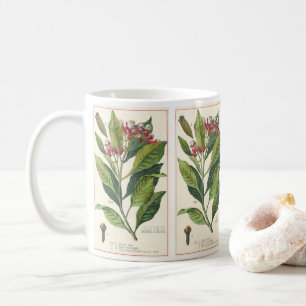 Taza De Café Hierbas Especias Comida Antiguas, Clavos Planta