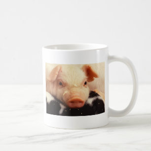 Taza De Café Hocico de la cara del cerdo del cochinillo