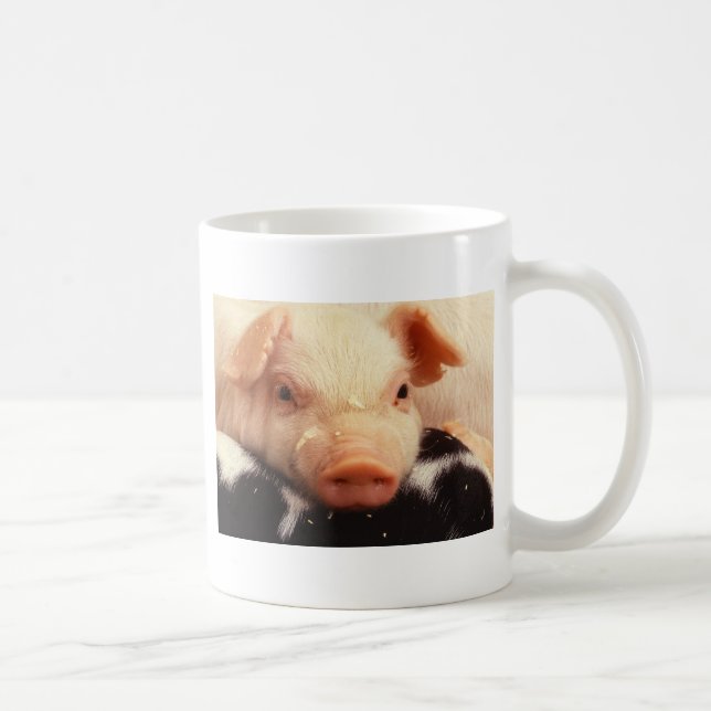 Taza De Café Hocico de la cara del cerdo del cochinillo (Derecha)
