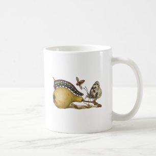Taza De Café Hoefnagel Vintage Pera & Insectos 1500s Renacimien