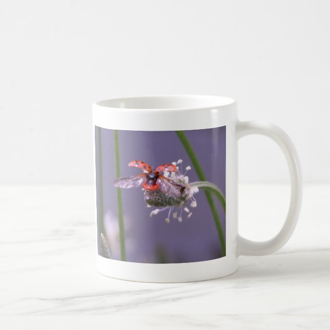 Taza De Café Hogar ausente de la mosca (Derecha)