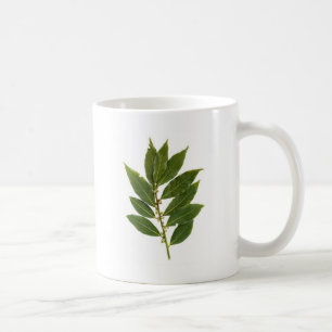 Taza De Café Hoja de laurel
