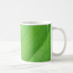 Taza De Café hoja joven de plátano verde brillante
