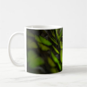 Taza De Café Hoja verde