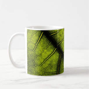 Taza De Café Hoja verde en fotografía de primer plano