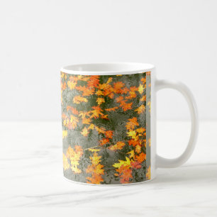 Taza De Café hojas caidas en lluvia