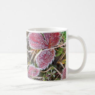 Taza De Café Hojas cubiertas de escarcha, Canadá