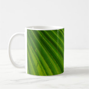 Taza De Café Hojas de hojas de palmera palmeras