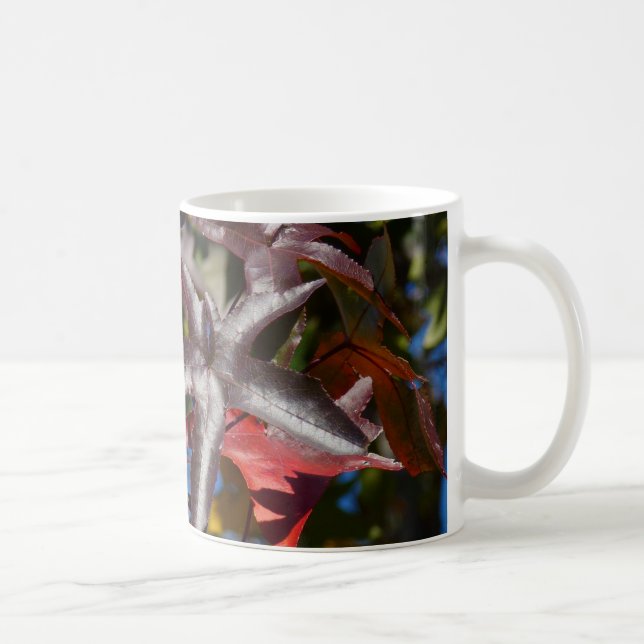 Taza De Café Hojas de Liquidámbar en Otoño (Derecha)