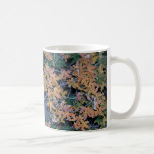 Taza De Café Hojas de otoño