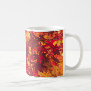 Taza De Café Hojas de otoño rojas y naranjas Naturaleza