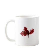 Hojas del roble rojo