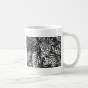 Taza De Café Hojas localizadas