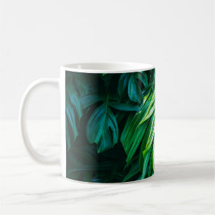 Taza De Café Hojas verdes tropicales sobre fondo oscuro, natura