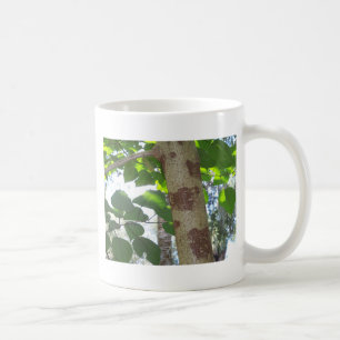 Taza De Café hojas verdes y tronco de árbol con corteza fresca