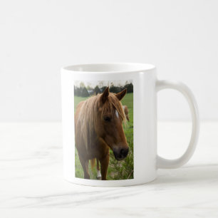 Taza De Café Hola de caballo