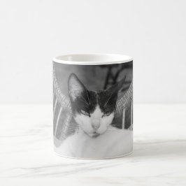 Taza De Café Hola, Meow...