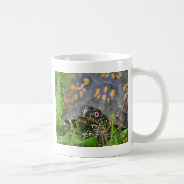 Taza De Café ¡Hola! Tortuga curiosa (Derecha)