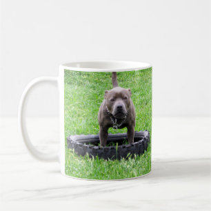 Taza De Café Hombre Adulto Staffordshire Terrier Listo Para Jug