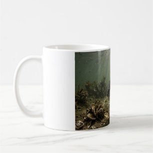Taza De Café Hombre de Florida Rúbalo de Mar Bay Oyster Bar Pes