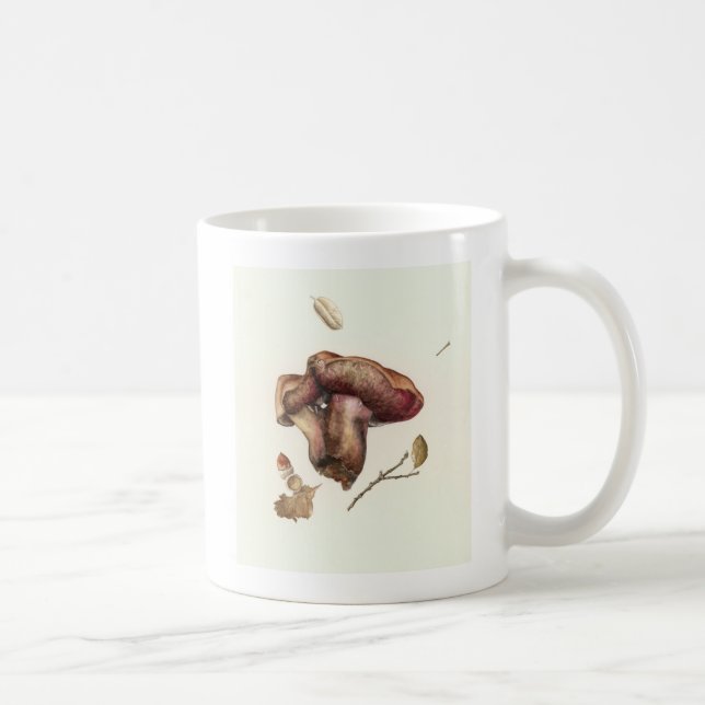 Taza De Café Hongo (Derecha)
