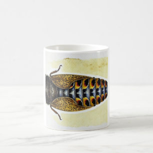 Taza De Café Hoplomelas dorsal view realistic detailed 160724IR