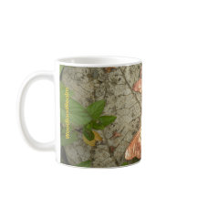 Hora del café con WoodlandRealm