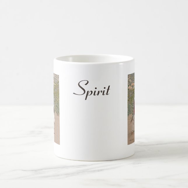 Taza De Café Horse espiritual Coffee Mug (Centro)