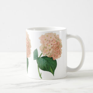Taza De Café Hortensia Flor de Hortensia Rosa Vintage por Redou