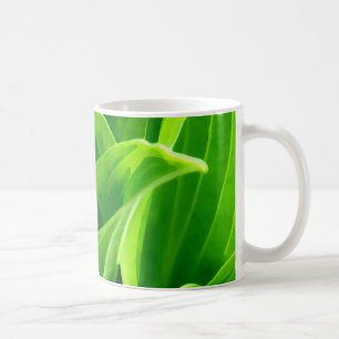 Taza De Café Hosta