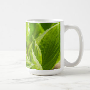Taza De Café Hosta Hosta Verde