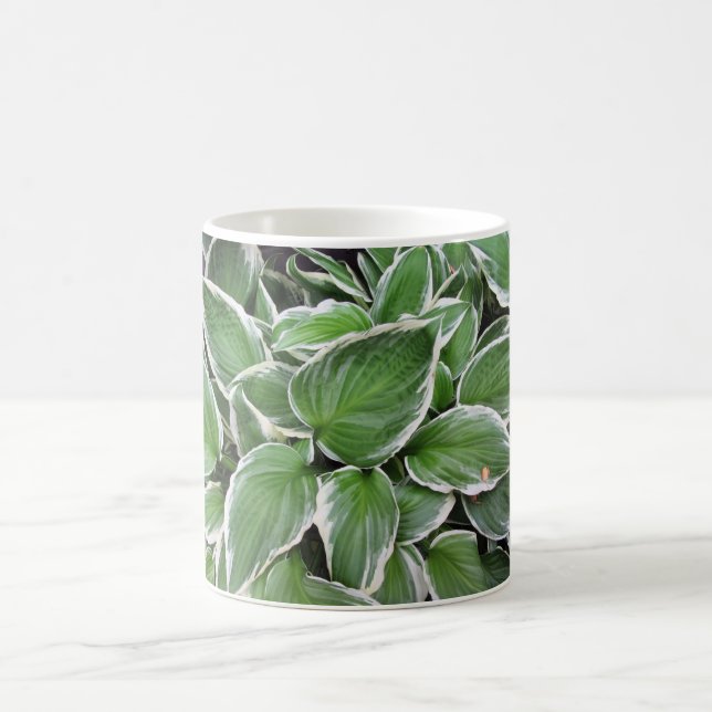Taza De Café Hosta Leaves (Centro)